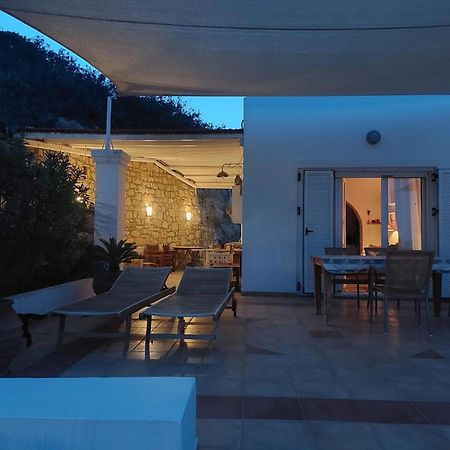 Tranquil Villa With Sea View In Ammopi Karpathos Amoopi Eksteriør billede