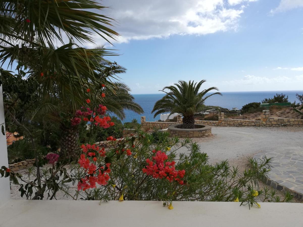 Tranquil Villa With Sea View In Ammopi Karpathos Amoopi Eksteriør billede