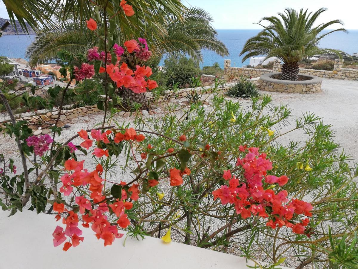 Tranquil Villa With Sea View In Ammopi Karpathos Amoopi Eksteriør billede
