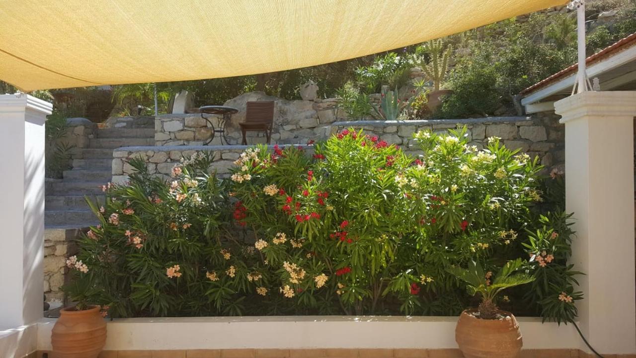 Tranquil Villa With Sea View In Ammopi Karpathos Amoopi Eksteriør billede