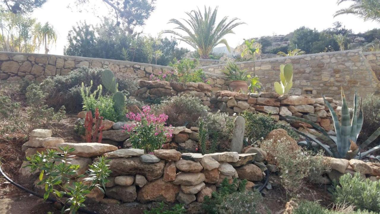 Tranquil Villa With Sea View In Ammopi Karpathos Amoopi Eksteriør billede