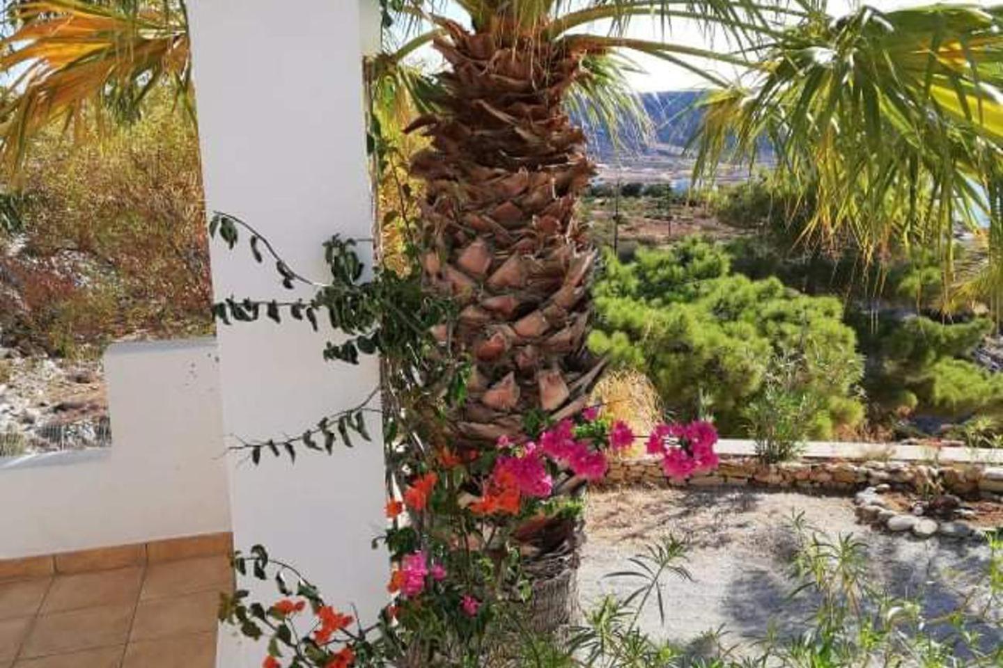 Tranquil Villa With Sea View In Ammopi Karpathos Amoopi Eksteriør billede