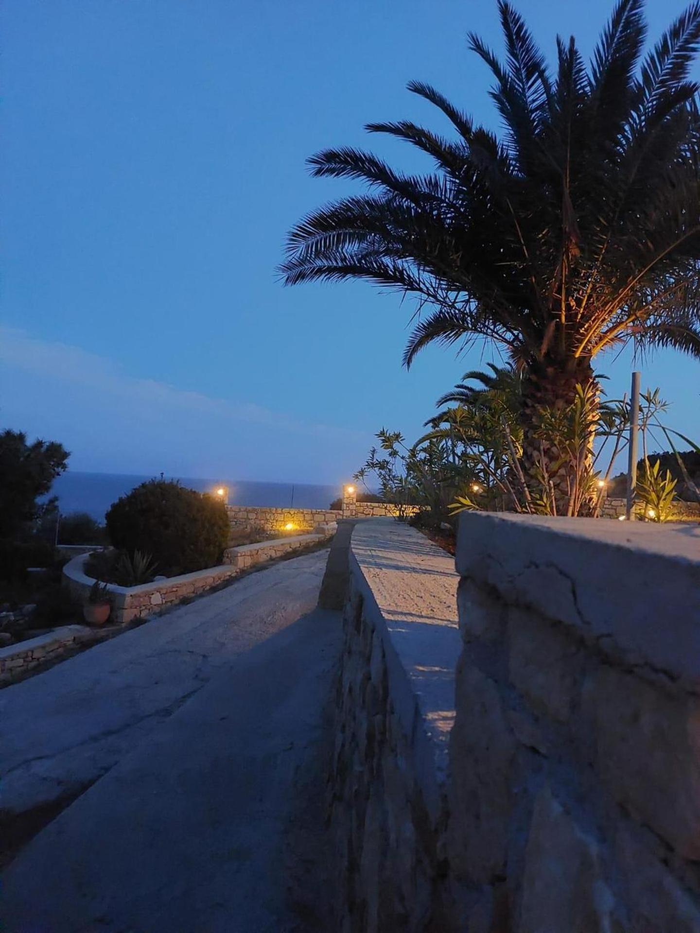 Tranquil Villa With Sea View In Ammopi Karpathos Amoopi Eksteriør billede